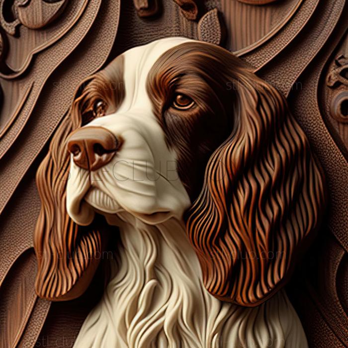 st English Springer Spaniel dog